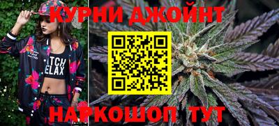 дживик Камышлов