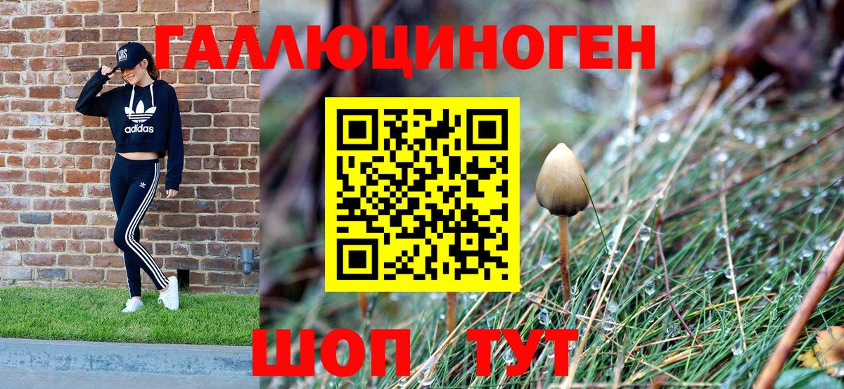 как найти   Вход с VPN  Кызыл  Галлюциногенные грибы мицелий 