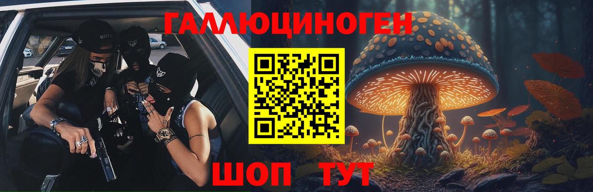 Галлюциногенные грибы Psilocybe Кызыл